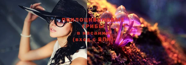 спиды Алексин