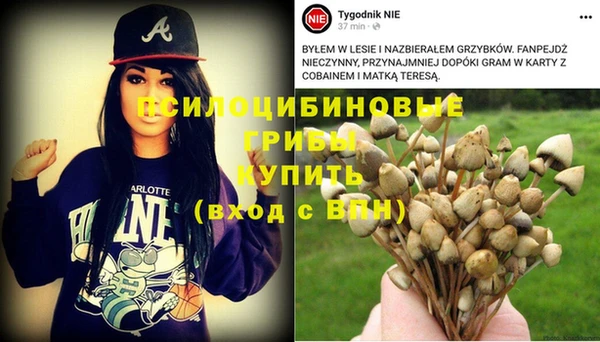МДПВ Майский