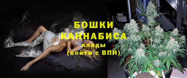 прущий лед Абаза