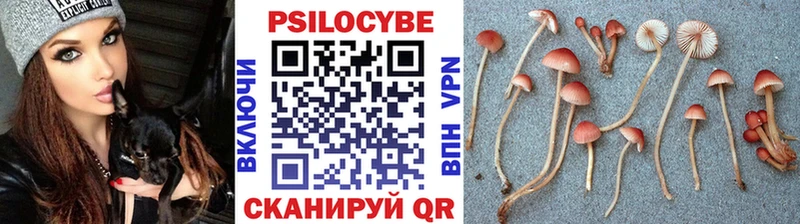 Псилоцибиновые грибы MAGIC MUSHROOMS  Иваново 
