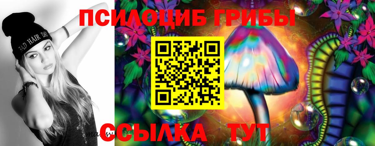 Псилоцибиновые грибы мицелий  Вход с VPN  Иваново 