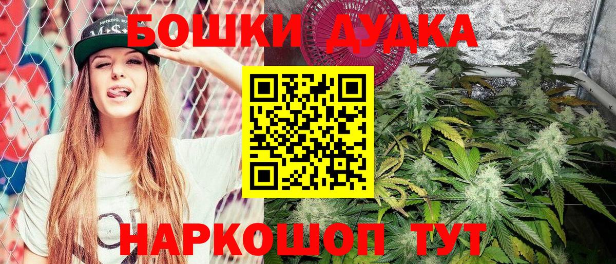 Бошки Шишки план Иваново
